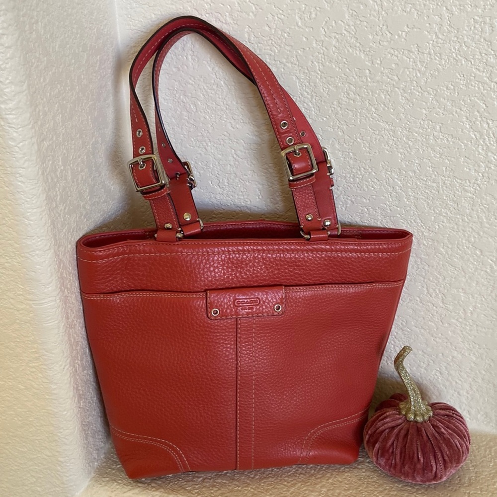 Coach Hamilton Bag - Sunday only price